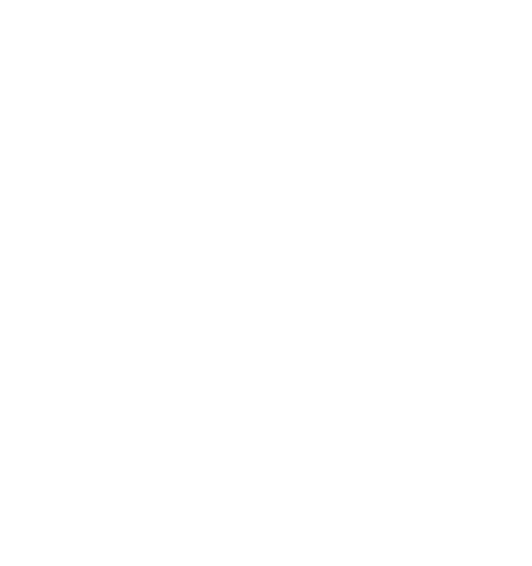 Show Must Go On