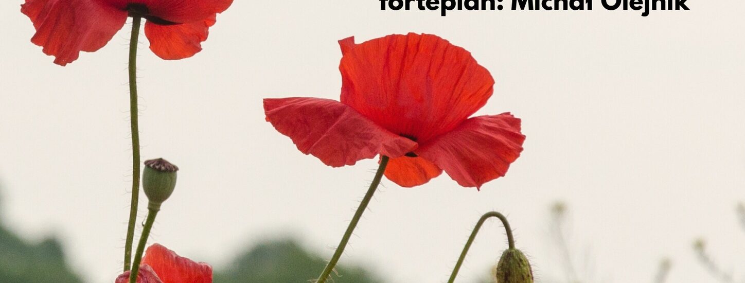 Koncert patriotyczny chóru Con Grazia