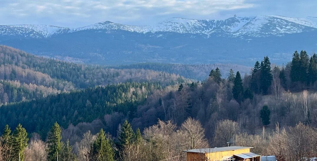 Warsztaty Chóralne Gospel Mass