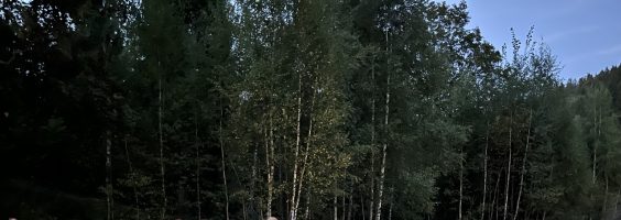 Słoneczne Podgórze – Warsztaty Con Passione