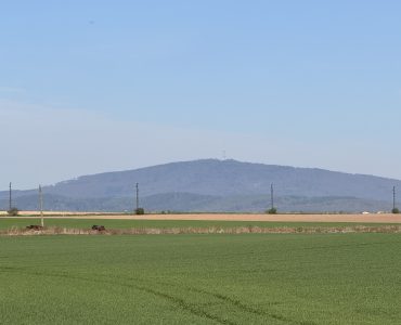 IMG_7793