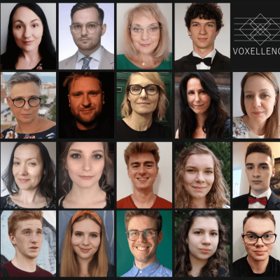 Voxellence